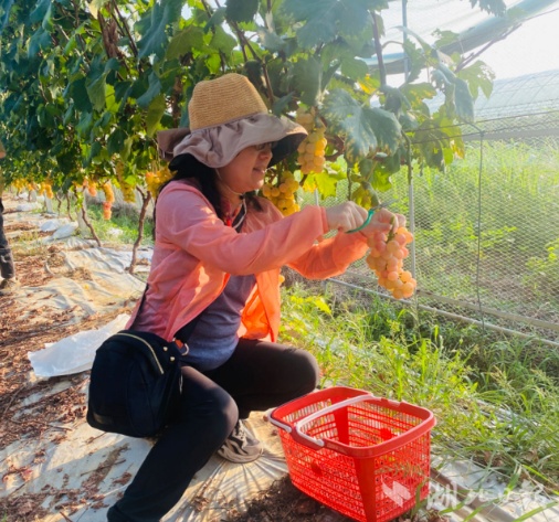 捕鱼游戏大厅 电玩
